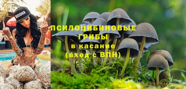 спиды Киреевск
